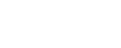 BellyBloom - logo